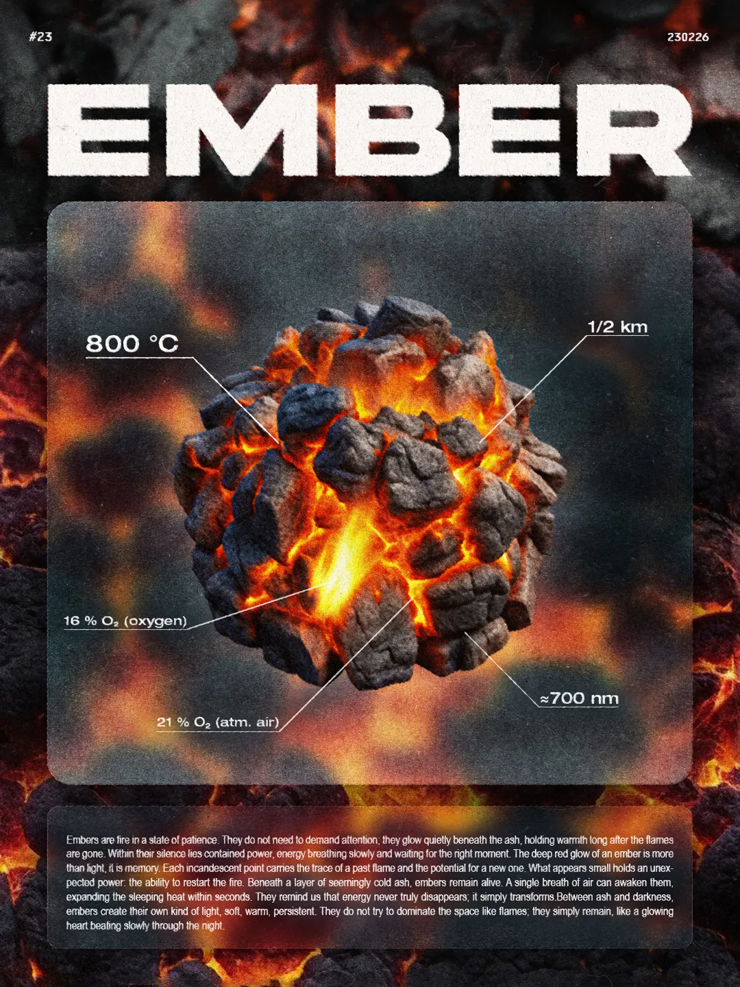 Poster Folio 24–25 — 53
